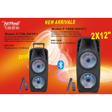 Double 12inch Professional Stage Trolley Speaker with Light F106D